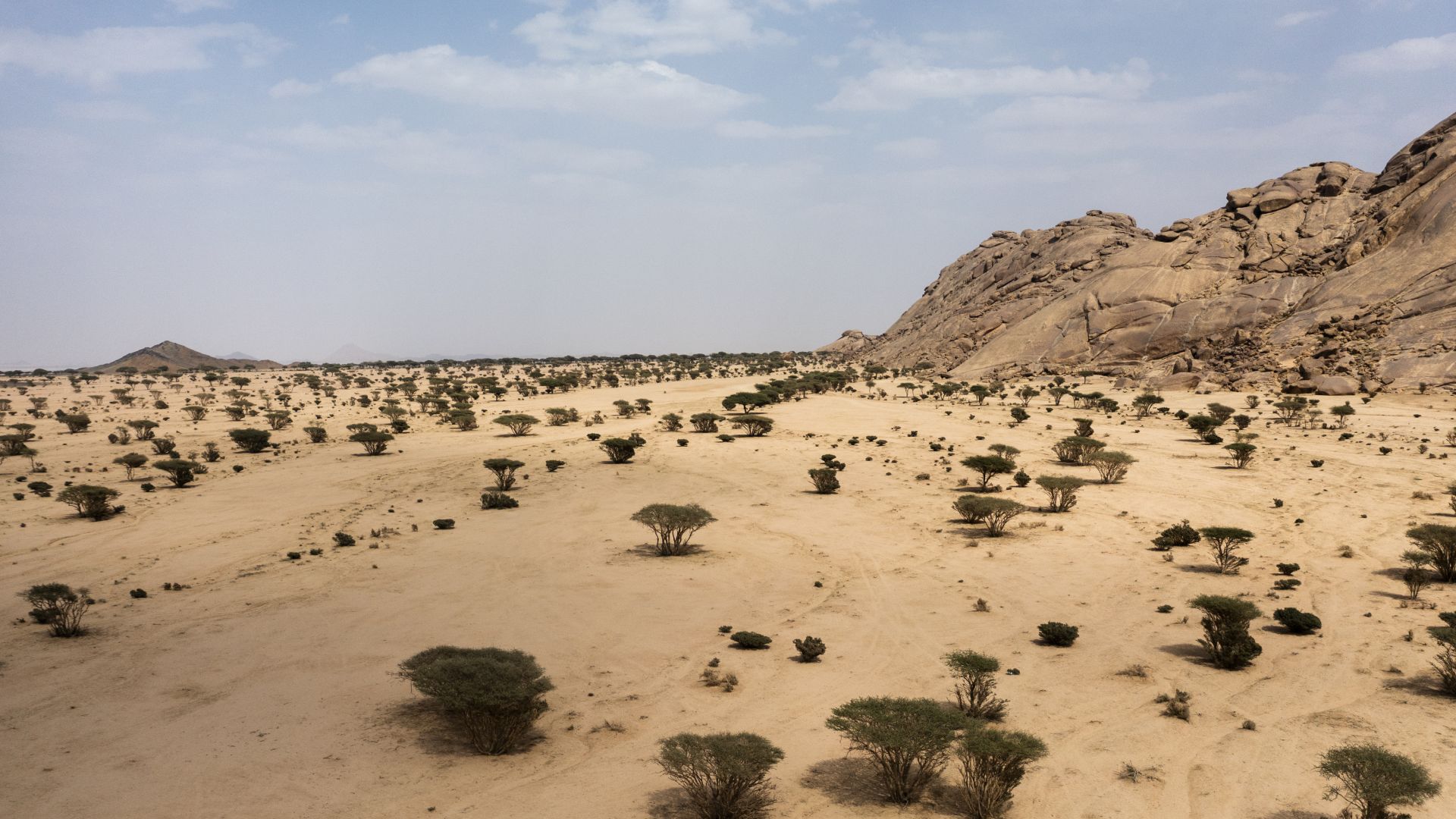 مكتبة الصور